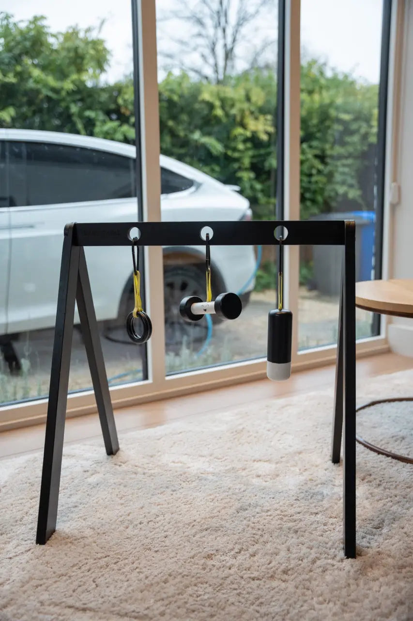 Baby Gym Rack Baby Gains